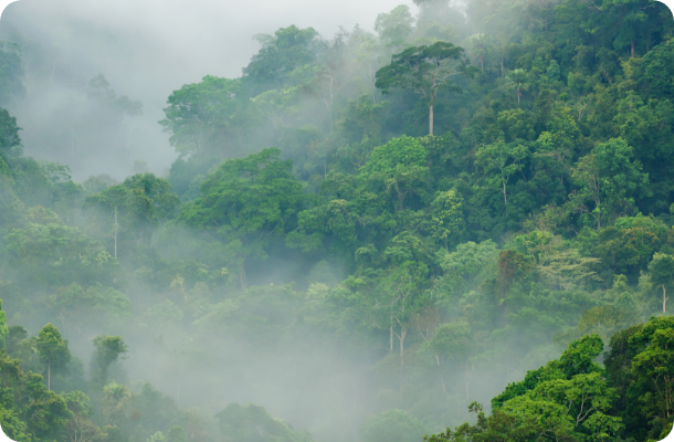SUSTAINABLE SOURCING