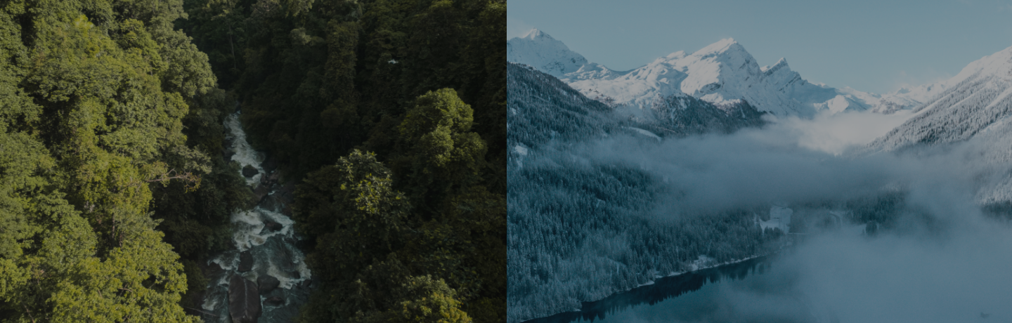 "From the Atlantic Rainforest to the Swiss Alps, SuddenRush was built on one belief: small, natural rituals can create big shifts."