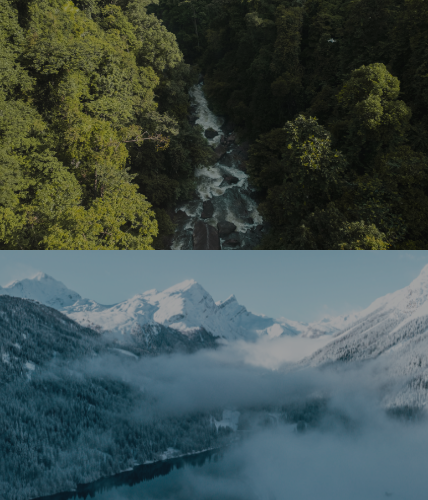 "From the Atlantic Rainforest to the Swiss Alps, SuddenRush was built on one belief: small, natural rituals can create big shifts."